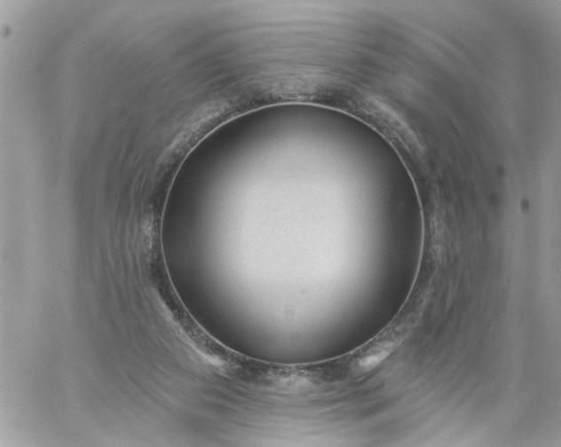 X0000059220113200510281850