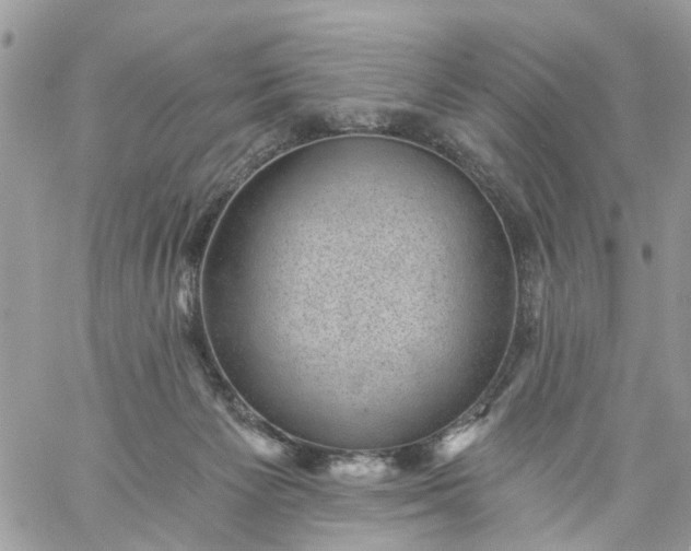 X0000059220125200510281850