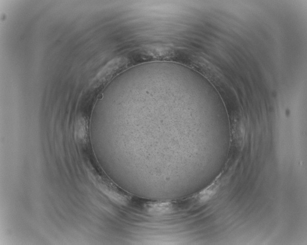 X0000059220132200510281850