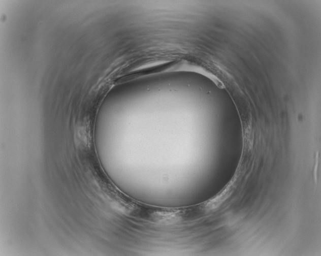 X0000059220170200510281849