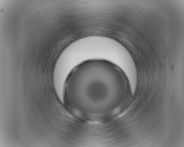 X0000059220189200510281849