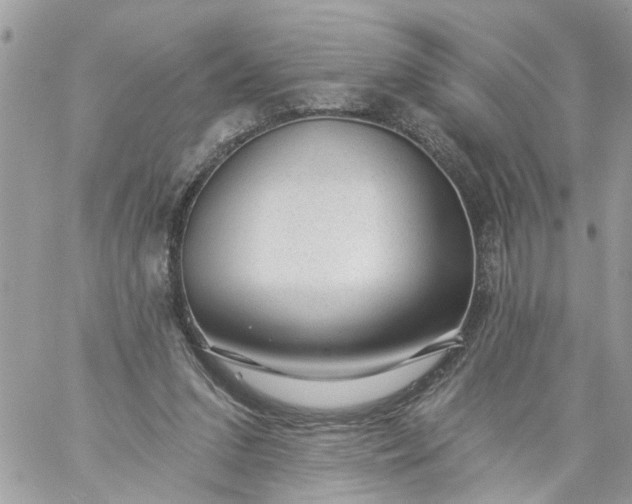 X0000059220207200510281848