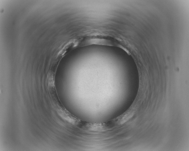 X0000059220384200510281846