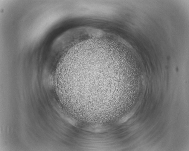 X0000059220431200510281845