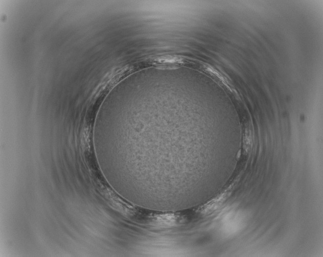 X0000059220473200510281845