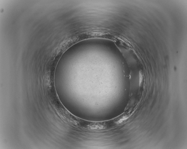 X0000059220512200510281843