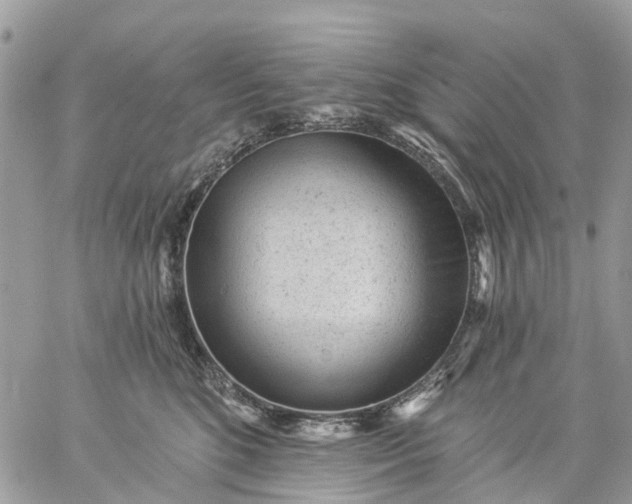 X0000059220520200510281843