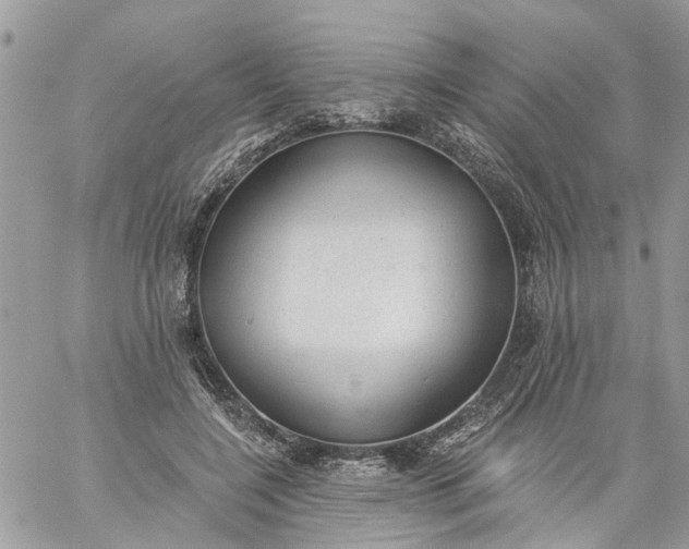 X0000059220548200510281843