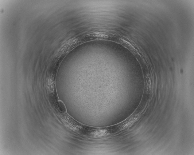 X0000059220609200510281842