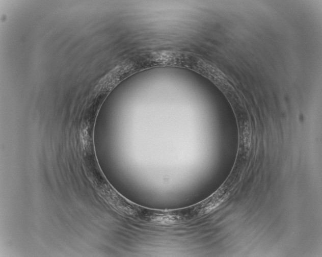 X0000059220611200510281842