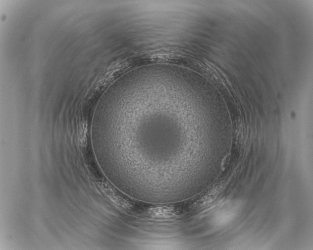 X0000059220660200510281841