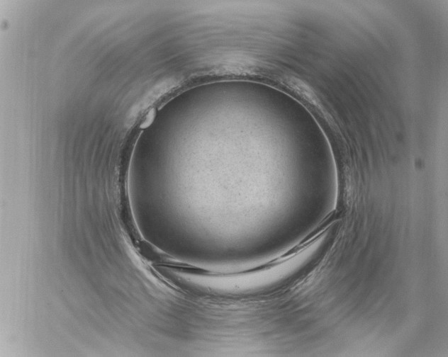 X0000059220677200510281841