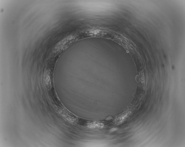 X0000059220754200510281840