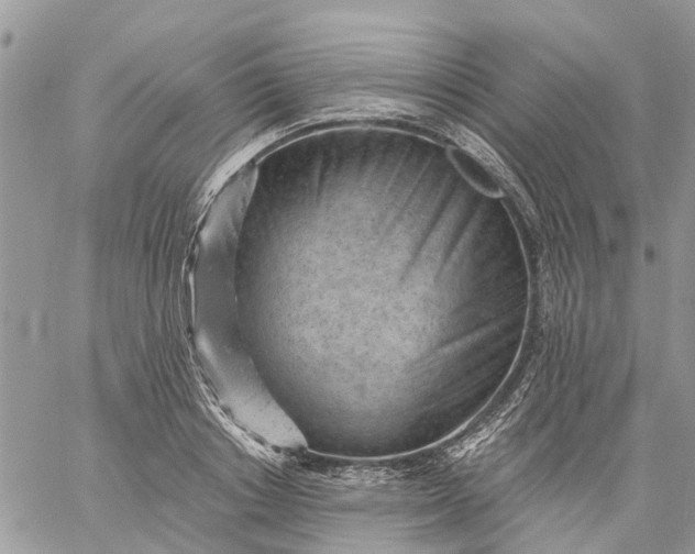 X0000059220842200510281838