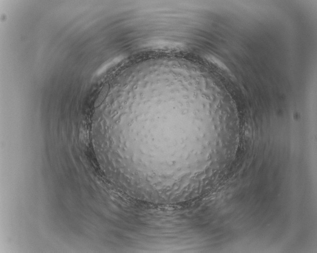 X0000059220869200510281837