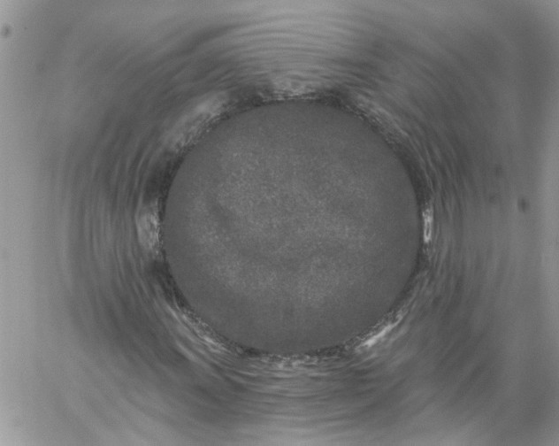 X0000059221011200510281834