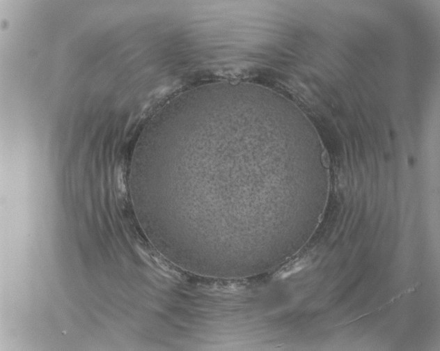 X0000059221106200510281833