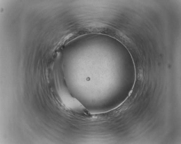 X0000059221108200510281833