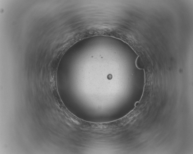 X0000059221109200510281833