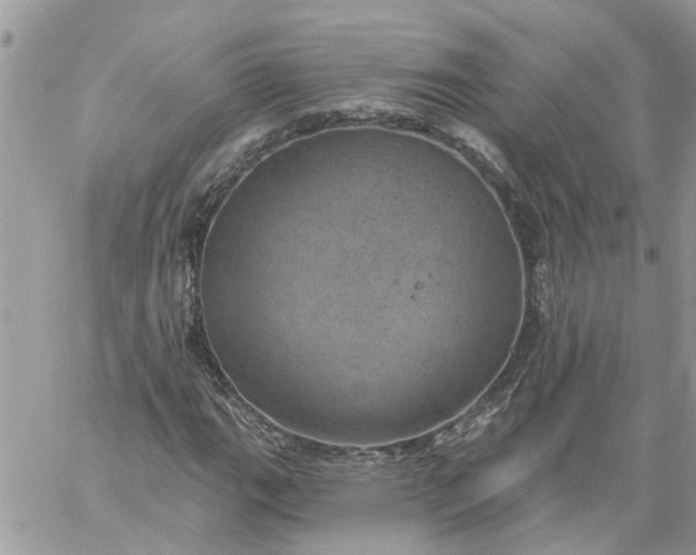 X0000059221111200510281833