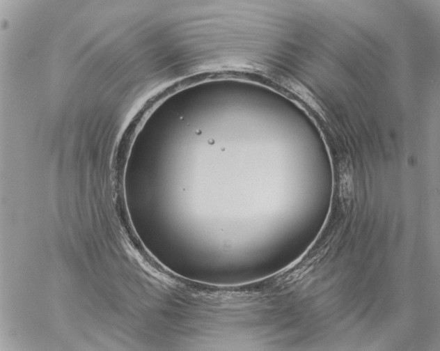 X0000059221116200510281833