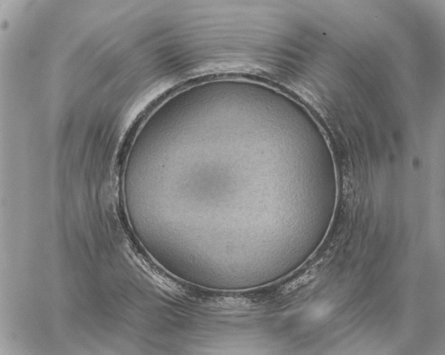 X0000059221119200510281833