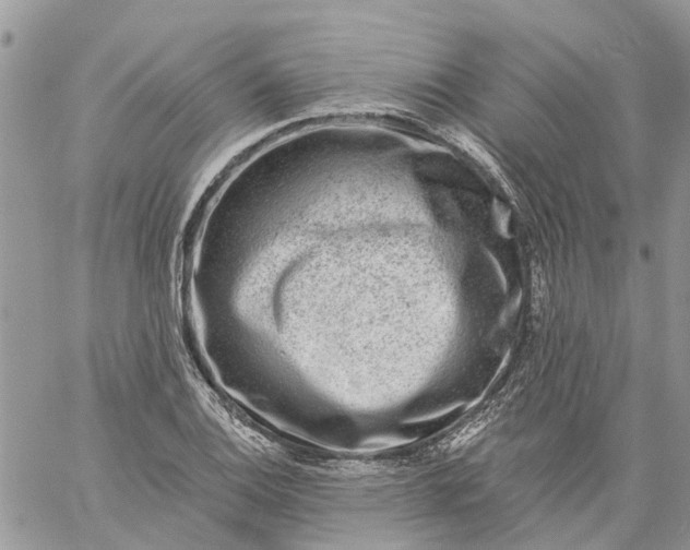 X0000059221124200510281833