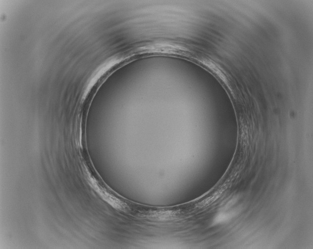 X0000059221131200510281833