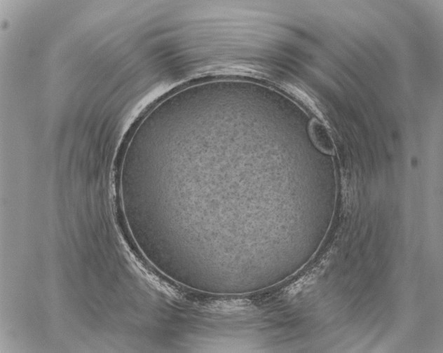 X0000059221133200510281833