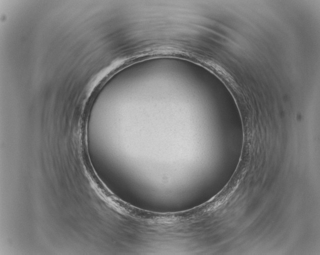 X0000059221134200510281833