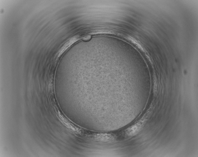 X0000059221137200510281833