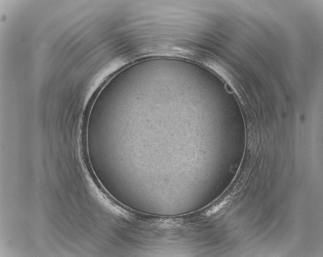 X0000059221139200510281833