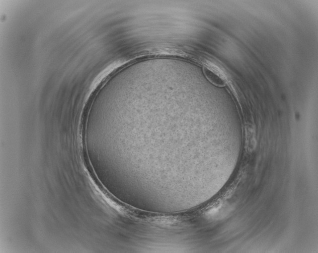 X0000059221141200510281833