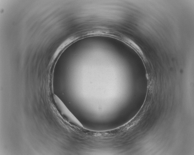 X0000059221146200510281833