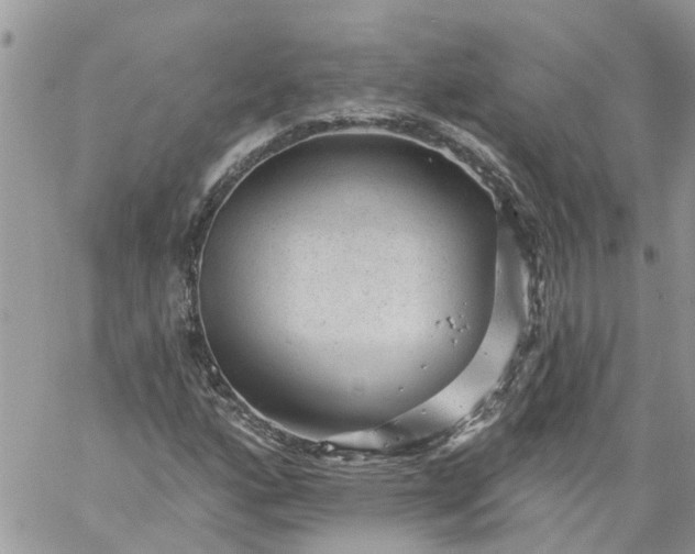 X0000059221160200510281833