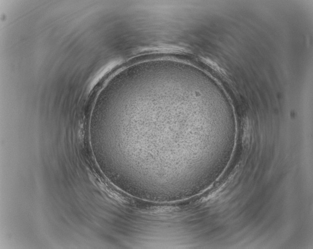 X0000059221163200510281833