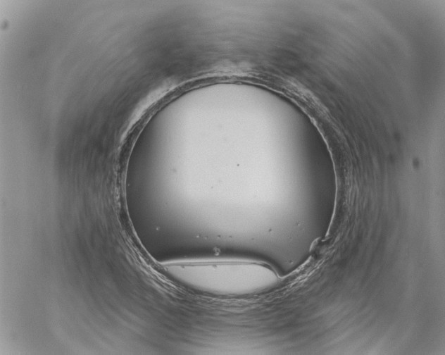 X0000059221168200510281833