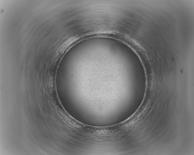 X0000059221169200510281833