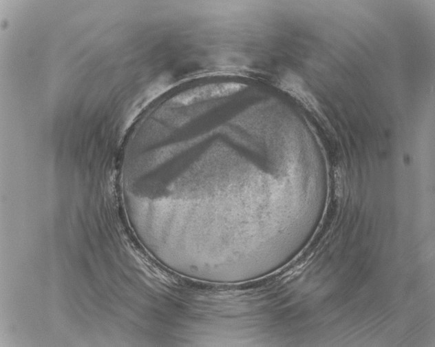 X0000059221260200510281831