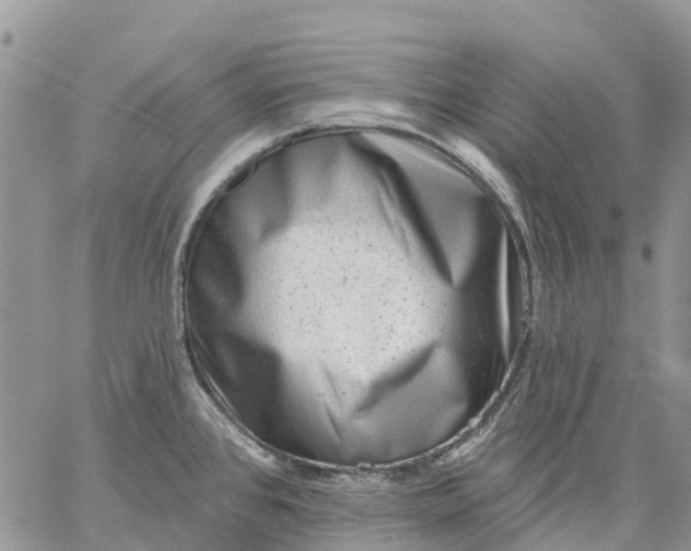 X0000059221384200510281829