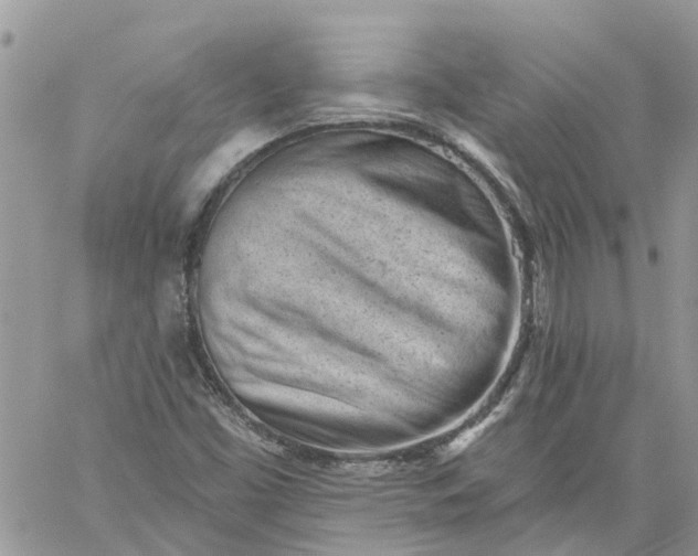 X0000059221453200510281828