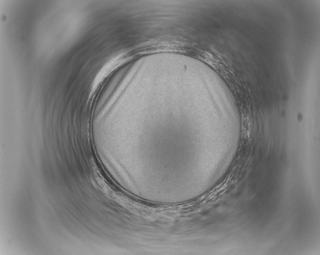 X0000059220004200511041228