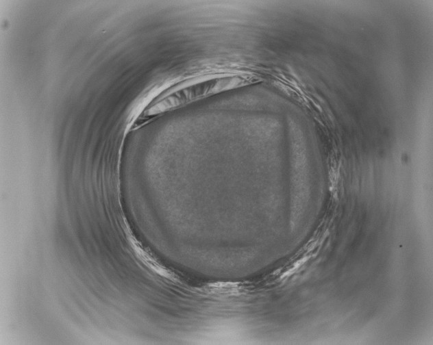 X0000059220052200511041226