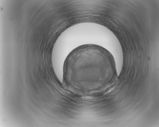 X0000059220091200511041227