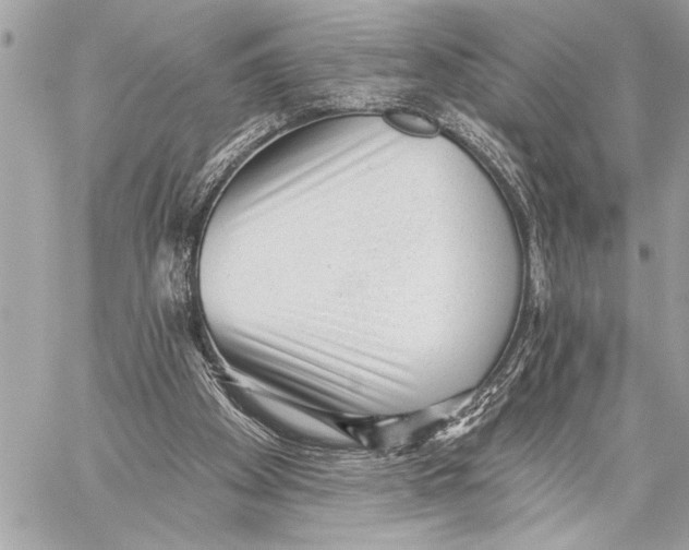 X0000059220105200511041226