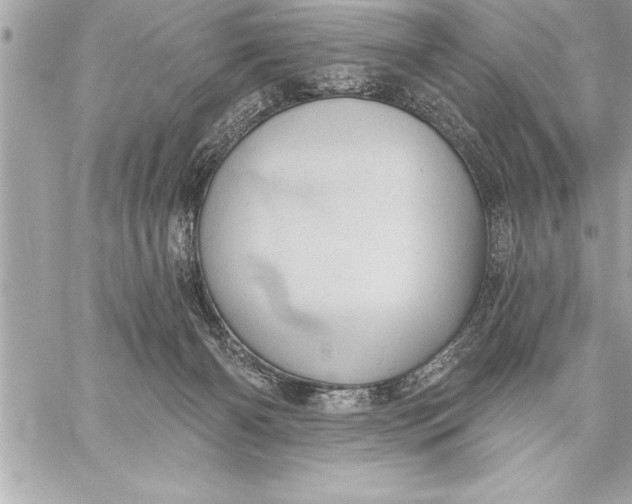 X0000059220126200511041226