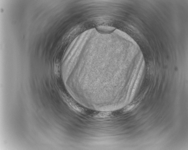 X0000059220138200511041225