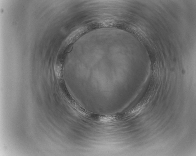 X0000059220139200511041225
