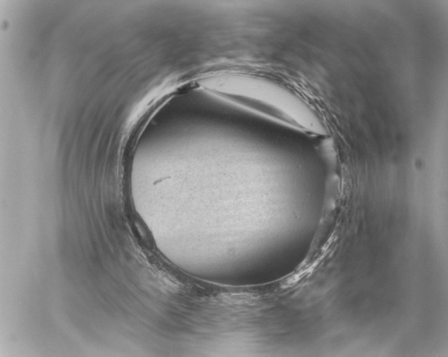 X0000059220150200511041225