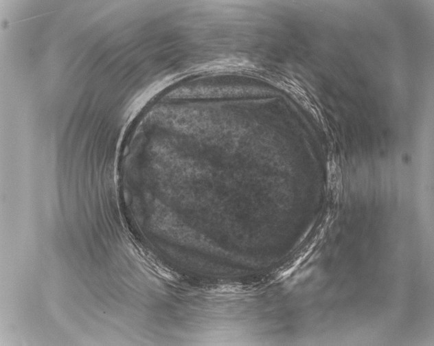 X0000059220196200511041225